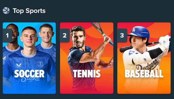 Официальный сайт Stake и его особенности